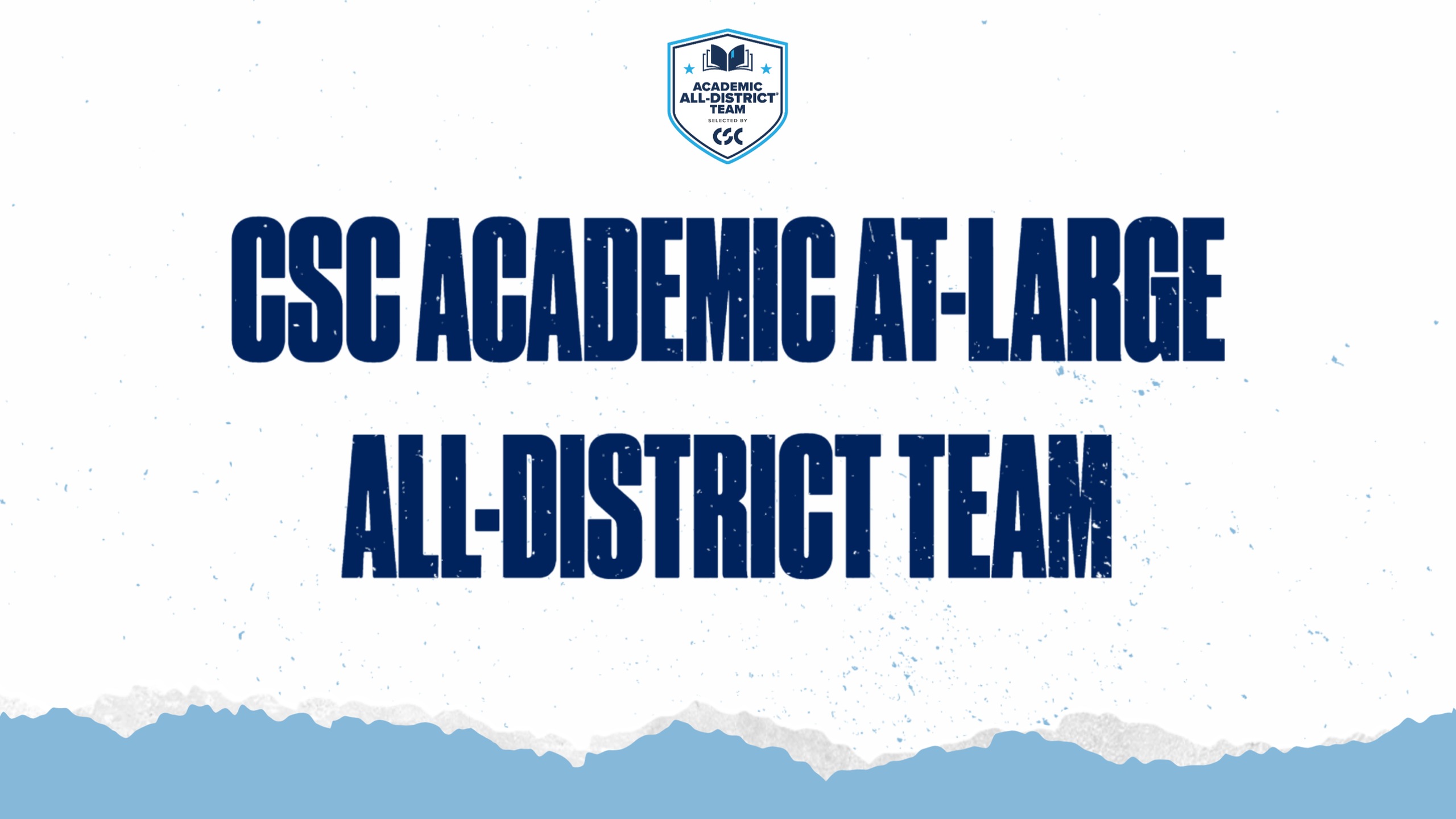CSC Academic At-Large